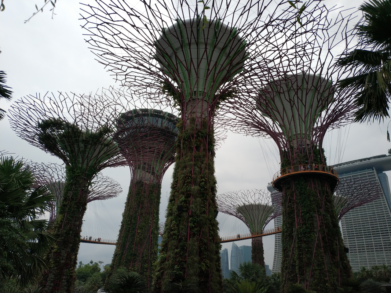 Gardens by the Bay Singapore