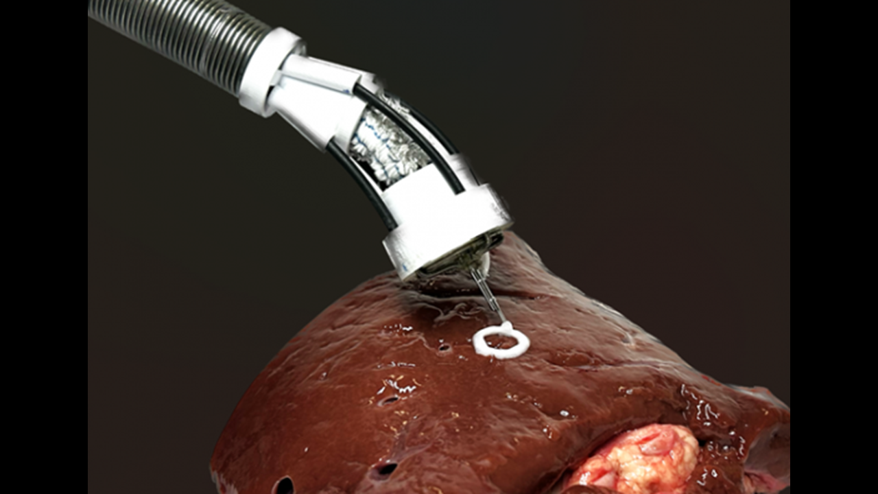 Advanced soft robotic system for in situ 3D bioprinting and endoscopic surgery
