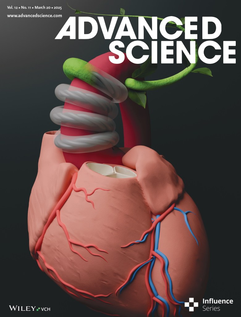Development of a Self-Deploying Extra-Aortic Compression Device for Medium-Term Hemodynamic Stabilization: A Feasibility Study